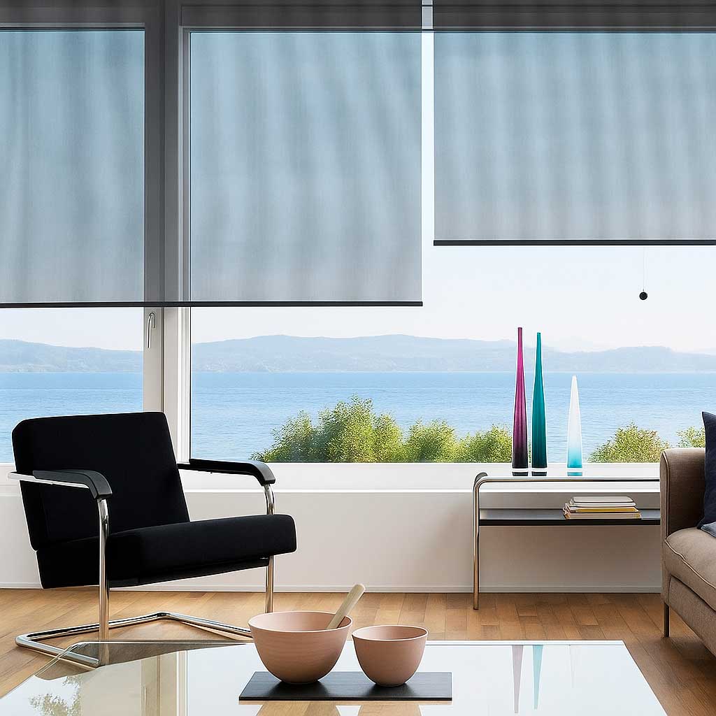 20250817_1025_Cortinas-Roller-en-Sala_remix_01k2w368d2e0br1mcgtfe2np6y